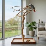 Large Natural Java Wood Parrot Stand – African Grey, Macaw & Amazon