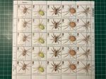 Spider Wildlife Collectors Stamp Sheet 2nd Class 25 Arachnid Illustrations MNH