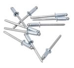 POP Blind Rivets Monel 4.8 x21.0mm (100-Piece Pack), NP1521-100
