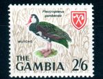 1966 Gambia 2s6d Bird Spur-winged Goose (Plectropterus Gambensis) Mint Stamp