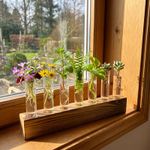 Wooden Propagation Station Glass Test Tube Vase Hydroponic Plant Holder Decor