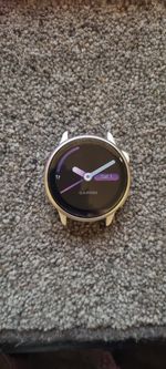 Garmin Vivoactive 6 Face