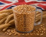 Hard White /Hard  Red  Wheat Like UK Local Grown Wheat 4kg