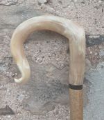 Full length shepherds crook/market stick in a  rams horn FREE POSTAGE