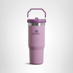 STANLEY Classic IceFlow Stainless Steel Tumbler with Straw, Vacuum Insulated