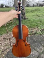 A Lovely Old German Dresden Violin Circa 1900. 4/4