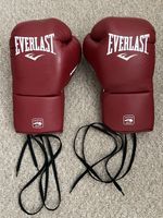 Everlast MX2 Pro Fight Gloves 10oz XL