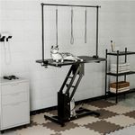 Professional Hydraulic Pet Grooming Table Extra Large with Z Lift H Bar Arm