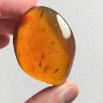 HUGE Burmese / Burmite amber fossil / 100% genuine amber