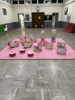 Commercial Princess Soft play 