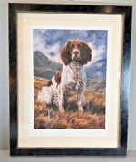 A Great Dog by John Trickett  Springer Spaniel Large Signed Ltd Framed Print