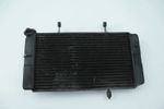 Suzuki DL 1000 Water radiator