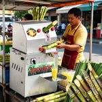 Commercial Electric Sugar Cane Juice Press Stainless Steel Juicing Equipment