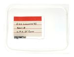 ESU 'MULTI' GAUGE LOKSOUND V5 NEXT18 LMS 3F JINTY DECODER