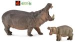 Hippopotamus Hippo Adult and Calf Animal Toy Model Figures by CollectA New