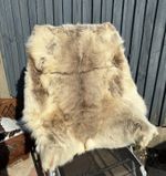 Real Reindeer Hide Nordvek Nordic Fur Throw Natural Skin Medium Rug 115cm Rare