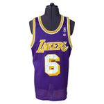 Champion LA Lakers Jersey Purple VINTAGE 6 Eddie Jones Men's Size 44
