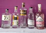 5 Empty Assorted Gin Bottles w/ Cap/Stopper For Repurposing/Upcycling/Crafts