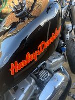 Harley-Davidson 1998 883 Sportster XL53C