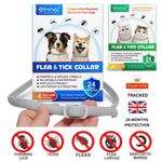 Dog Cat Flea Collar Treatment Pet Adjustable 24 Month Protection 4 PACK COLLARS