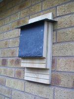 twin chamber Wooden Bat Nest Box Roost House