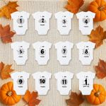Baby Milestone Vests Set of 12 Monthly Bodysuits 0-12 Months Baby Shower Gift