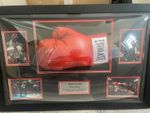 Mike Tyson Signed Everlast Red Boxing Glove Framed Display w/ COA