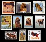 BLOODHOUND DOG INTERNATIONAL POSTAGE STAMPS collection x 10
