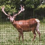 Deer Netting Fencing Black Strong Durable 2m Width