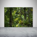 Tulup Kitchen Glass Splashback 100x70 Tropical forest