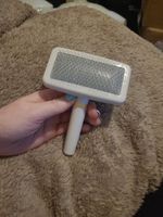 White dog and cat slicker grooming brush