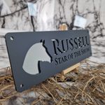 Matt Anthracite and SILVER Horse stable name sign, stable, farm, stall plaque