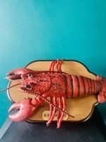 RARE Big Mouth Larry Lobster Singing Sensation | FULLY WORKING | Retro Gemmy Kit