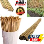 Professional Bamboo Canes Thick Stake Garden Plant Flower Support Stick Cane Pol
