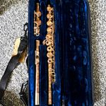 Trevor James TJ10 Concert Flute C Closed Hole Boehm System Silver w/ Case