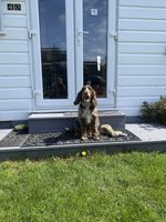 Lovely Dog Friendly Chalet for Rental in North Norfolk