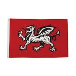 Flagtex English Wessex Dragon Flag Wessex Flag with Eyelets