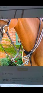 Breastplate with Martingale Attachment Size Full