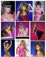 CHARO #1,the love boat,fantasy island,9pc MAGNET SET