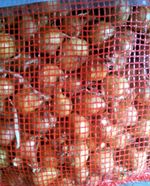New seasons pickling onions ready now,you cannot beat the home-made taste.