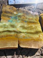 blue opalized petrified wood