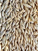 Whole Oats 25kg FREE UK DELIVERY