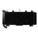 Pattern Replacement Radiator for Kawasaki Z 650 17-19