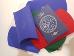 Baby Flight Log Book: Travel Memory Journal, Eco-friendly with GIFT BOX