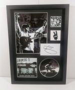 Jamie T - LIVE AT FINSBURY PARK Signed FRAMED Mosaic Art & Picture Disc Display