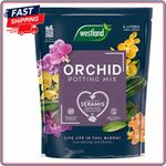 Westland Orchid Potting Mix 4L Brown UK