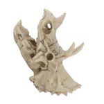 ›Resin Dinosaur Triceratops Skull Model Simulated Skeleton Home Office Display