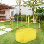 PawHut Outdoor 4 PC Dog Pet Agility Training Garden Starter Obstacle Set for Dog
