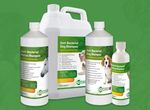 Aqueos Anti-Bacterial - Anti-Itch - Dog Shampoo - 200ml, 1L, 5L - Grooming