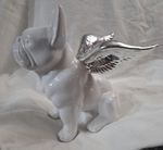 White French Bulldog With silver Wings